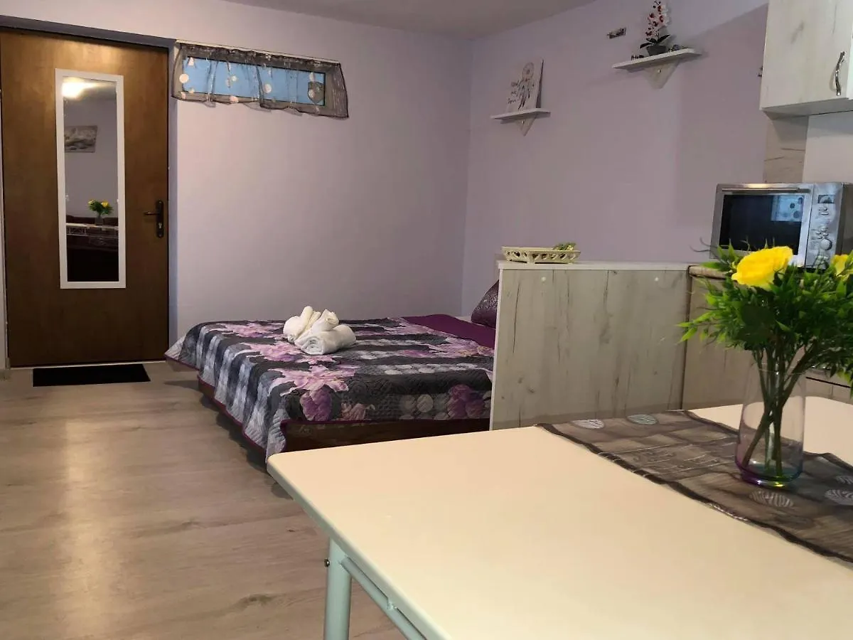 Comfy Studio Apartment By The Flower Market Varna